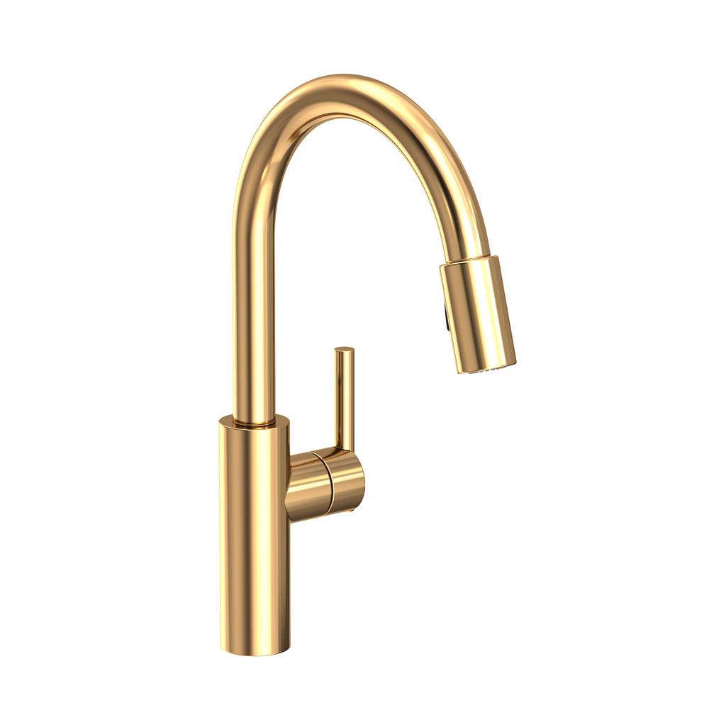 Newport Brass Single Hole Kitchen Faucets item 1500-5103/03N