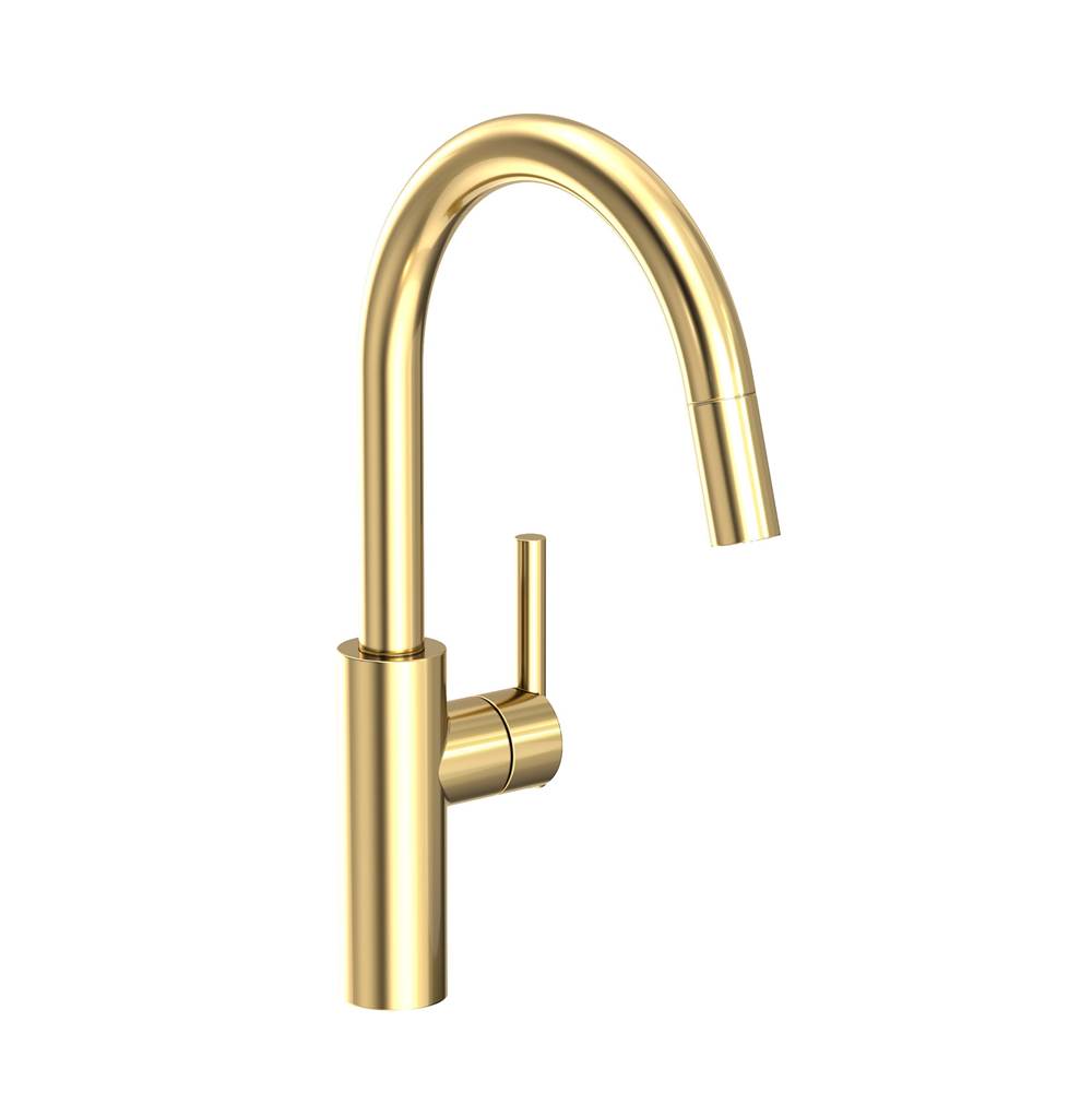 Newport Brass Retractable Faucets Kitchen Faucets item 1500-5113/01