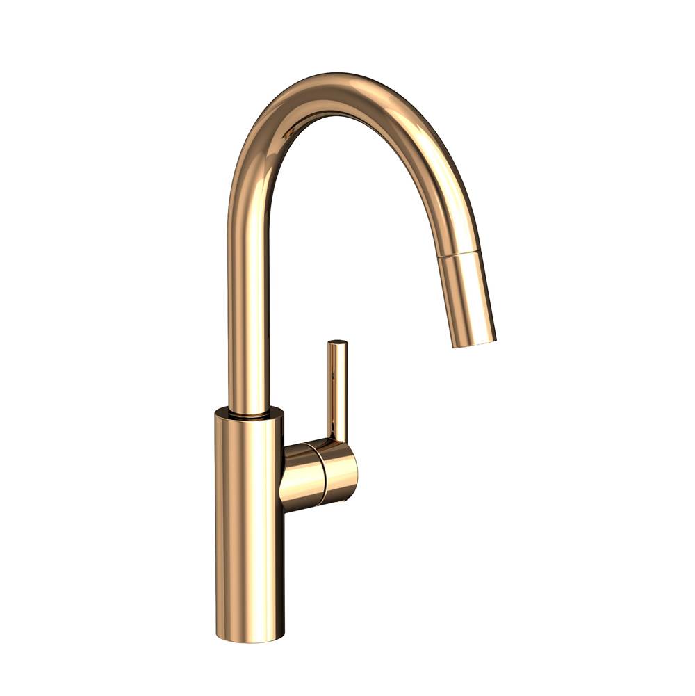 Newport Brass Retractable Faucets Kitchen Faucets item 1500-5113/24A