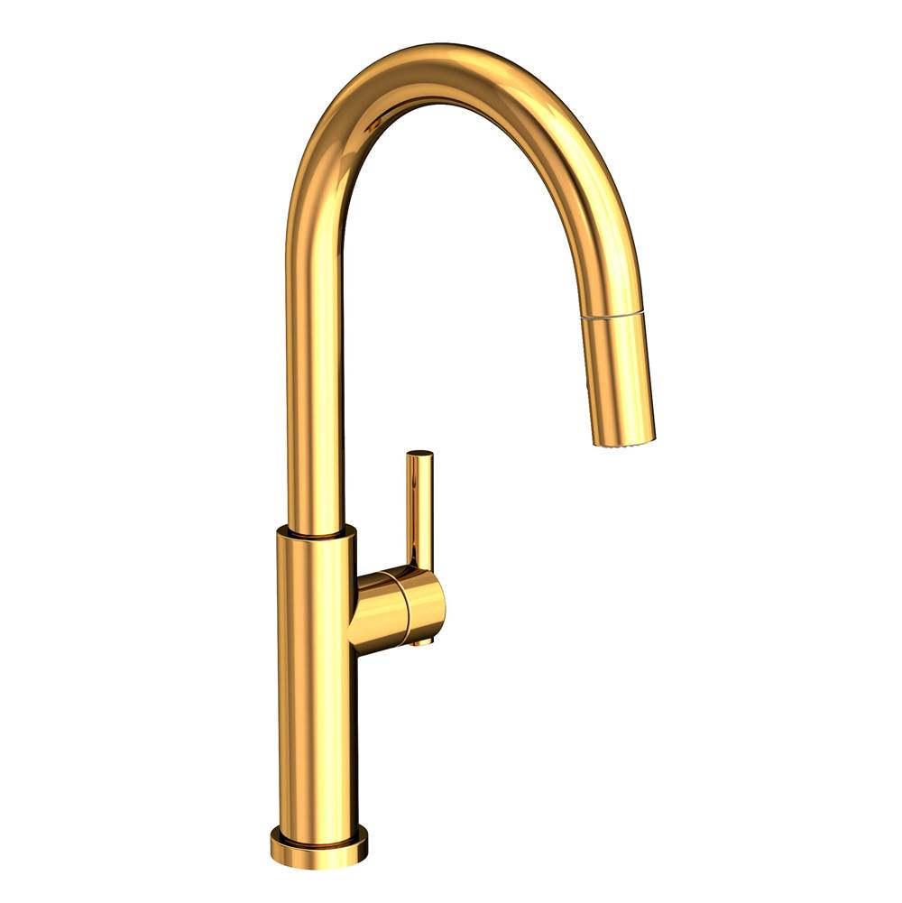 Newport Brass Retractable Faucets Kitchen Faucets item 1500-5143/24