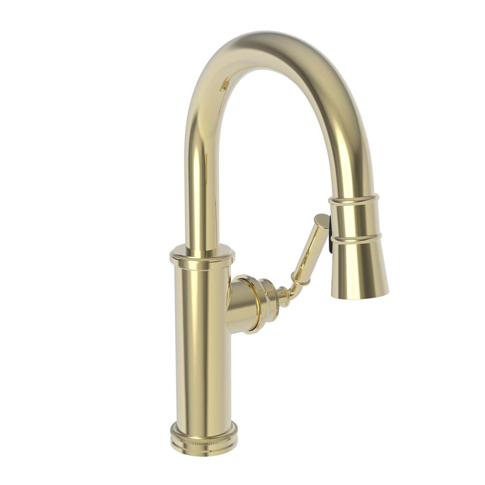 Newport Brass Pull Down Bar Faucets Bar Sink Faucets item 2940-5223/24A