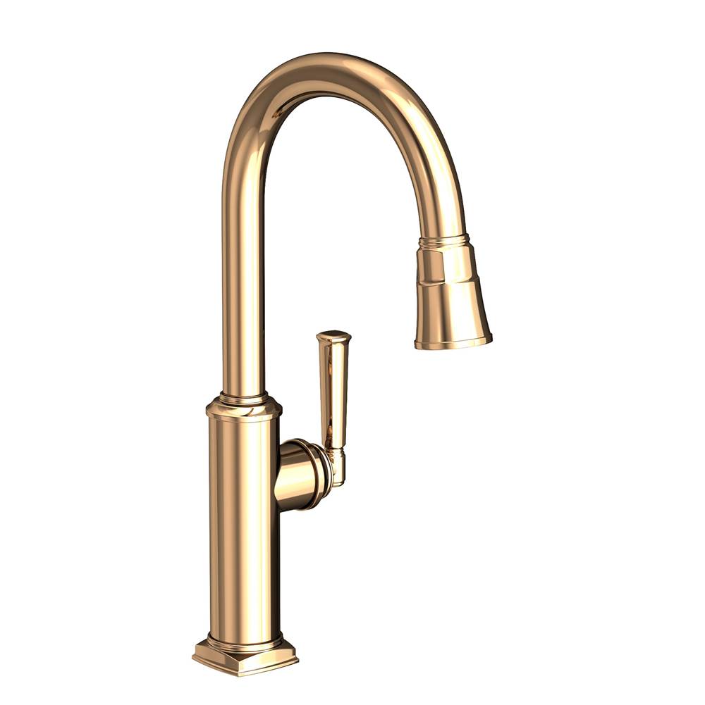 Newport Brass Retractable Faucets Kitchen Faucets item 3160-5103/24A