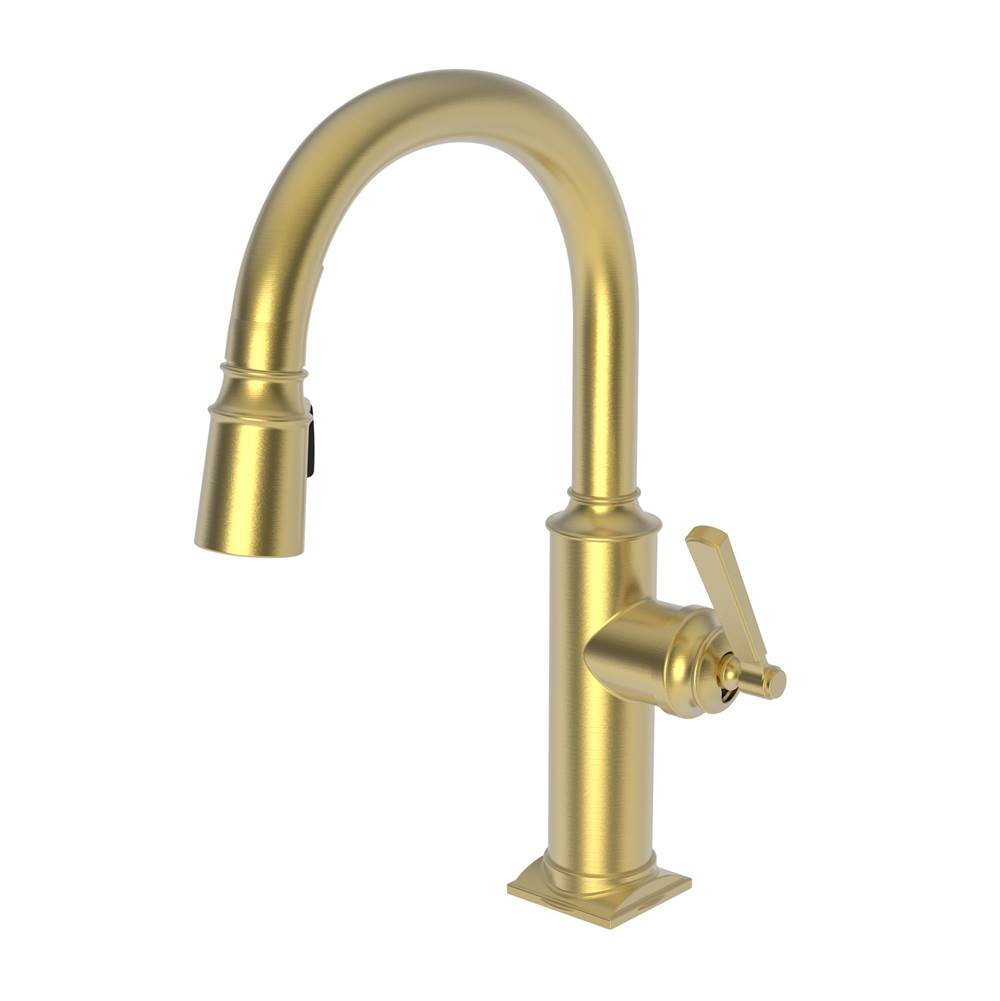 Newport Brass Pull Down Bar Faucets Bar Sink Faucets item 3170-5203/24S