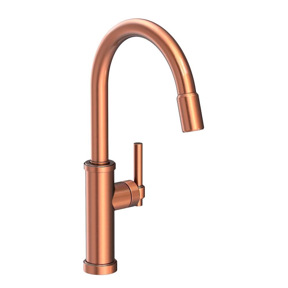 Newport Brass Retractable Faucets Kitchen Faucets item 3180-5113/08A