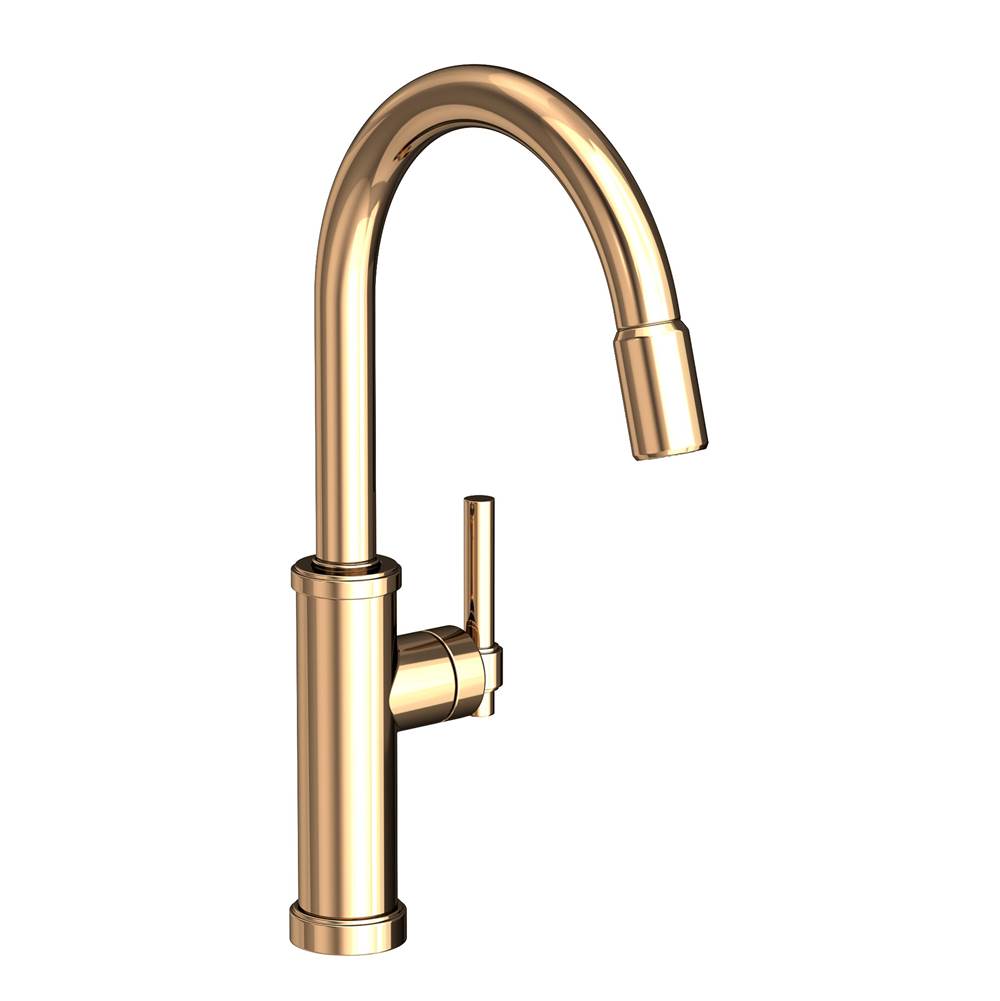Newport Brass Retractable Faucets Kitchen Faucets item 3180-5113/24A