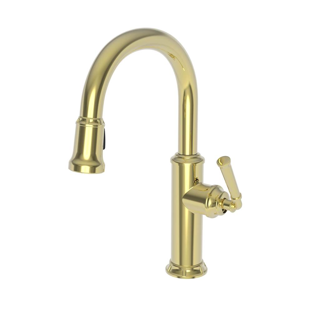 Newport Brass Pull Down Bar Faucets Bar Sink Faucets item 3210-5203/01