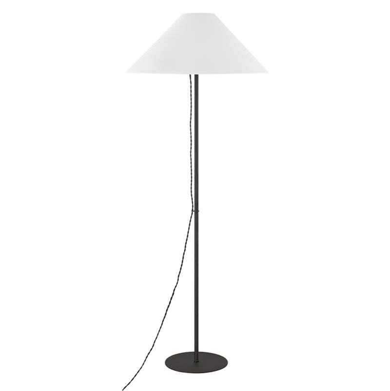 Troy Lighting Floor Lamps Lamps item PFL3765-TBK
